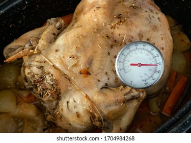 Measuring Internal Temperature Of Oven Baked Chicken. Food Instant-read Thermometer To Measure Food  Safe Temperature. Whole Chicken In Black Pan With Herb Rub. Carrots And Onions Under The Chicken.