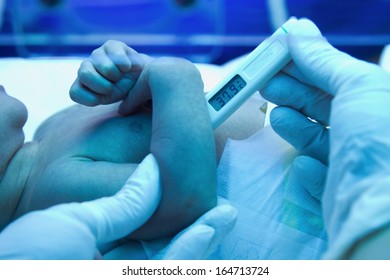 Measuring Temperature To  A Sick New Born Baby In The Pediatric ICU