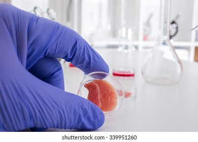 Meat Cultured In Laboratory Conditions From Stem Cells.Artificial Meat