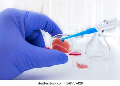 Meat Cultured In Laboratory Conditions.Artificial Meat