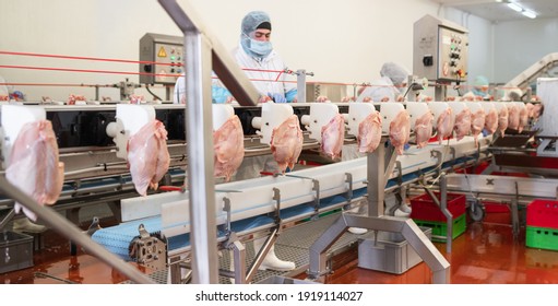 The meat factory. chicken on a conveyor belt.meat processing plant assembly line.People working at a chicken factory - stock photo.Group of workers working at a chicken factory food processing plant 