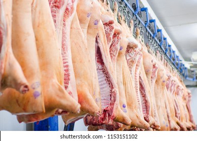 The meat factory. Pork hanging on hooks. Pork carcasses in the workshop of butchers. Industrial processing of pork. Butcher.
