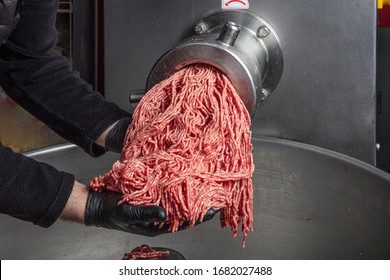 Meat Grinder In Action And Ground Beef Meat. Electric Meat Grinder. Unidentifiable Butcher Holding Tray Full Of Minced Raw Red Meat Leaving Machine In Food Processing Plant.