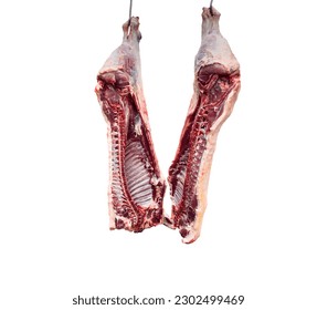 Meat industry. Beef meat hanging. Cut and hanged on hook in a slaughterhouse isolated on a white background. Fresh lamb and raw meat. Сow carcass isolated.	 - Powered by Shutterstock