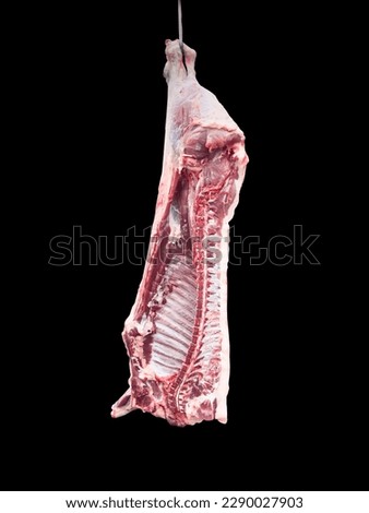 Meat industry. Beef meat hanging. Cut and hanged on hook in a slaughterhouse isolated on a black background. Fresh lamb and raw meat. Сow carcass isolated. 