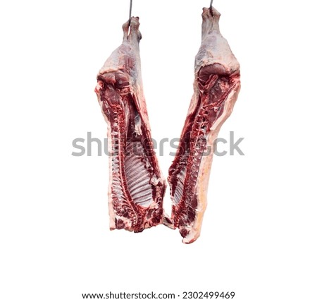 Meat industry. Beef meat hanging. Cut and hanged on hook in a slaughterhouse isolated on a white background. Fresh lamb and raw meat. Сow carcass isolated.	
