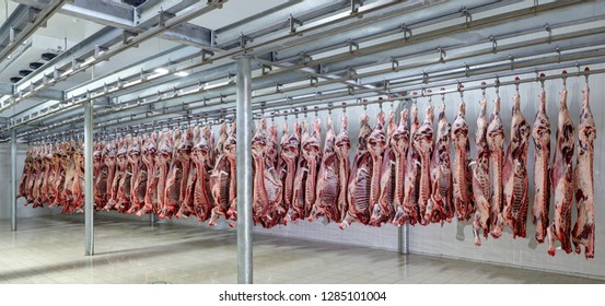 Meat Industry,meats Hanging In The Cold Store