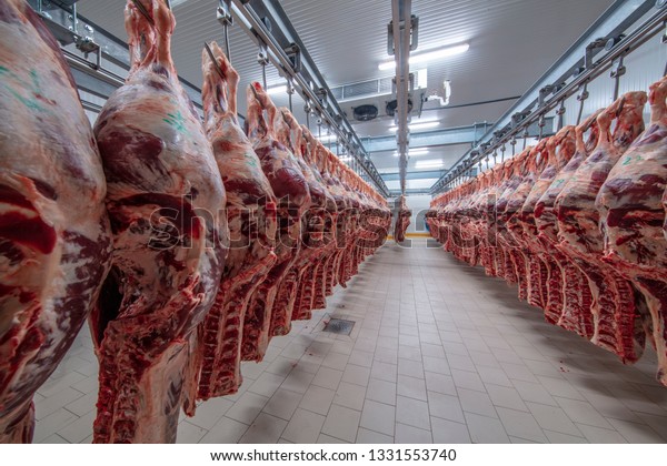 Meat\
industry,meats hanging in the cold store. Cattles cut and hanged on\
hook in a slaughterhouse. Halal\
cutting.
