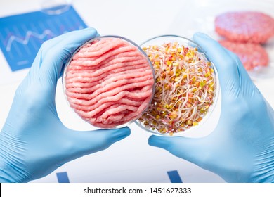 Meat in one Petri dish and plant sprouts on background. Plant based meat concept.