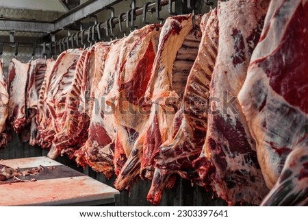Meat processing plant. carcasses of beef hang on hooks.