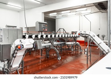 Meat Processing Plant. Production Line Of Meat.Line For The Production Of Meat With Packaging And Cutting . Industrial Equipment At A Meat Factory.