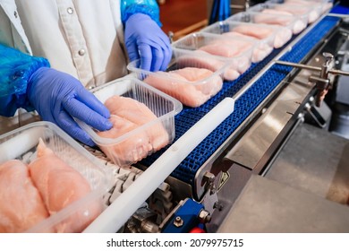 Meat Processing,food Industry.Packing Of Meat Slices In Boxes ,conveyor Belt.People Working At A Chicken Fillet Production Line.Group Of Workers Working Chicken Factory,food Processing Plant Concepts.