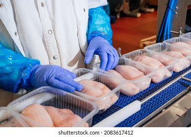 Meat processing,food industry.Packing of meat slices in boxes ,conveyor belt.People working at a Chicken fillet production line.Group of workers working chicken factory,food processing plant concepts.