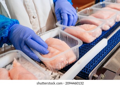 Meat Processing,food Industry.Packing Of Meat Slices In Boxes ,conveyor Belt.People Working At A Chicken Fillet Production Line.Group Of Workers Working Chicken Factory,food Processing Plant Concepts.