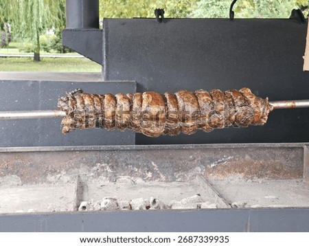 meat roll on a spit, authentic cuisine