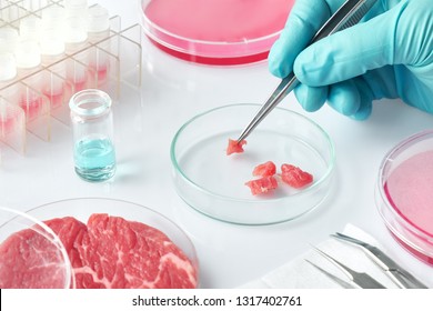 Meat sample in open  disposable plastic cell culture dish in modern laboratory or production facility. Concept of clean meat cultured in vitro from animal somatic cells. - Shutterstock ID 1317402761