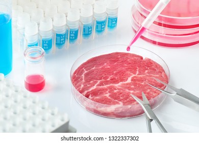 1,122 Lab Grown Meat Images, Stock Photos & Vectors | Shutterstock