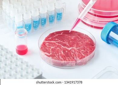 Meat sample in open  disposable plastic cell culture dish in modern laboratory or production facility. Concept of clean meat cultured in vitro from animal somatic cells. - Shutterstock ID 1341917378