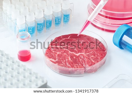 Meat sample in open  disposable plastic cell culture dish in modern laboratory or production facility. Concept of clean meat cultured in vitro from animal somatic cells.