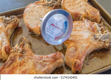 Meat Thermometer Taking The Temperature Of Thick Pork Chops Hot After Baking On A Metal Baking Tray