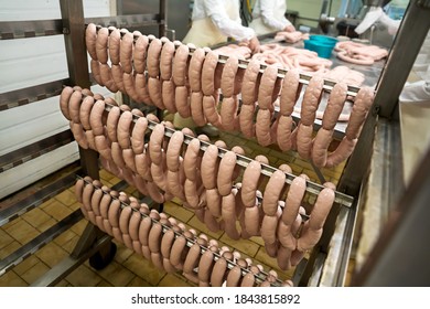 Meat-packing plant for the production of sausages. Fresh sausages in a row on a rack - Powered by Shutterstock