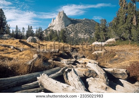 A mecca for nature lovers and mountain climbers, Cathedral Peak and Eichorn Pinnacle are nested behind a log jam on the Outlet of Budd Lake, Tuolumne Meadows, Yosemite National Park, California