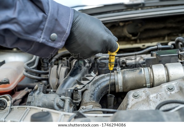 mechanic after change of oil in the\
engine checks level and quality on a probe. motor\
service