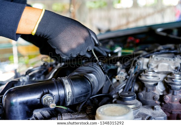 The mechanic is checking the engine oil\
level.Auto mechanic Preparing For the\
work.