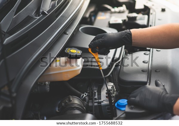 Mechanic checking level\
motor oil in a car