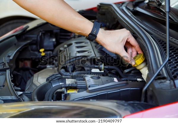 mechanic checks the brake fluid in\
the engine compartment and the vehicle\'s basic service\
concept.