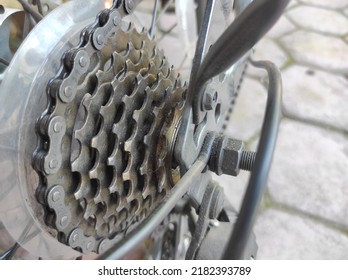 mechanic gears cassette and chain at the rear wheel