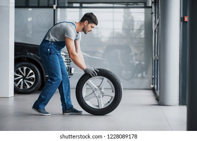 Mechanic holding a tire tire at the repair garage. replacement of winter and summer tires. - Shutterstock ID 1228089178