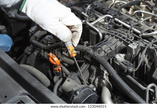Mechanic\
performing the maintenance of a motor vehicle\
in