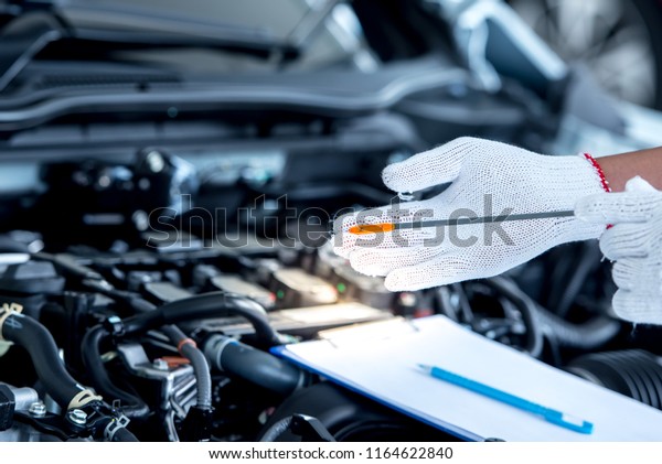 Mechanic repairing car\
with open hood,Side view of mechanic checking level motor oil in a\
car with open hood