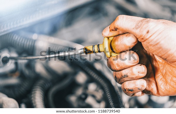 Mechanic repairing car\
with open hood,Side view of mechanic checking level motor oil in a\
car with open hood