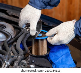 The Mechanic Takes Out The Old Dirty Fuel Filter To Replace It In The Car With A New One