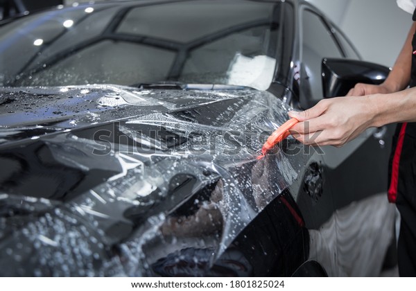 Mechanic with transparent film, car paint
protection. Mechanic installs car paint protection film. Install
car paint protection film. Car wrap
concept.
