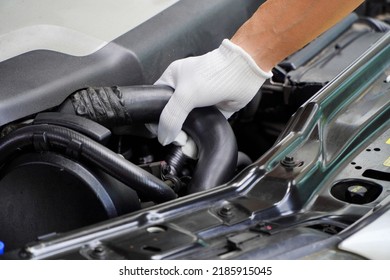 mechanic wearing white gloves checks the radiator hose. safety concept The concept of checking the condition of the car before leaving