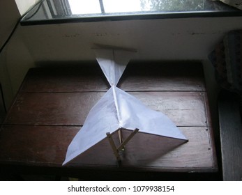 Mechanical Bird (Ornithopter)