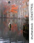 Mechanical Fisher Automatic Fishing Reel. Black crappie ( Pomoxis nigromaculatus). Beautiful bald cypress trees in autumn rusty-colored foliage. Chicot State Park, Louisiana, US