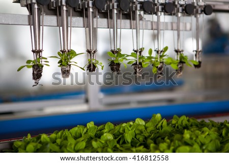 Mechanical planting seedlings. 