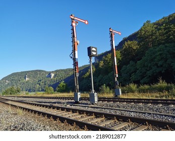 Mechanical Train Signals In Nature 2