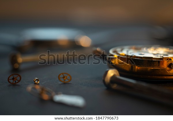 Mechanical Watch Assembly Watchmakers Workshop Many Stock Photo ...