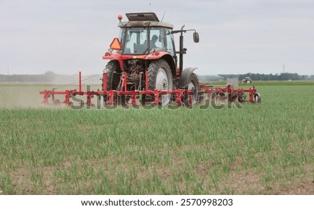 Mechanical weed control. Weeding with weeding machine and tractor. Biological