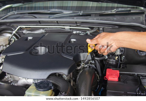 mechanic\'s hand is checking the engine\
oil, checking the safety of the car before\
traveling.