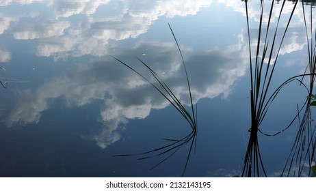 Mecklenburg Lake District, Reflections In Lake