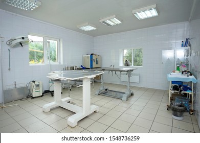 Med table, lamps and other medical equipment set  at the veterinary office. October 4, 2019. Municipal animal shelter.  Borodyanka, Ukraine