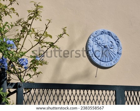 Medallion on the wall of house. Blue round sundial. Blue flowers on a bush brhind the fence.Decoration of houses. Details. Venice, Lido island. 