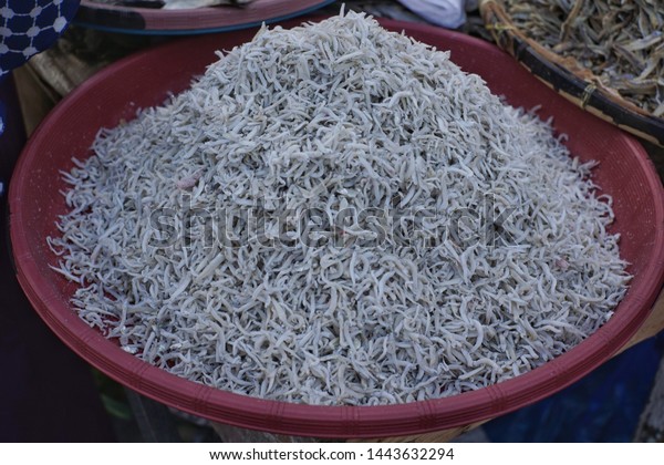 Salt how anchovies for bait to How to