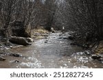 Medano Creek Spring Sand Dunes